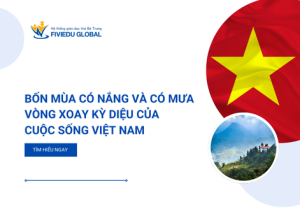 Bon Mua Co Nang Va Co Mua Vong Xoay Ky Dieu Cua Cuoc Song Viet Nam
