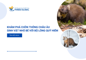 Kham Pha Chon Thong Chau Au Sinh Vat Nho Be Voi Bo Long Quy Hiem