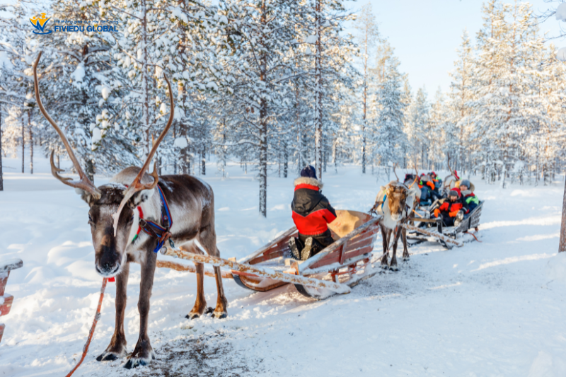 Lapland Kham Pha Que Huong Cua Ong Gia Noel