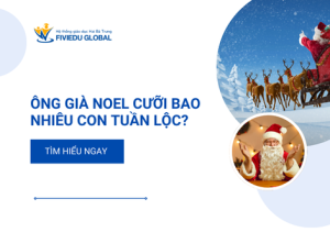 Ong Gia Noel Cuoi Bao Nhieu Con Tuan Loc