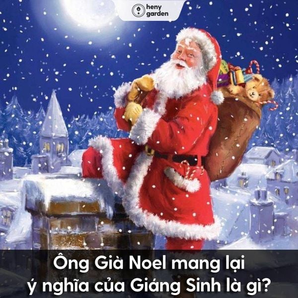 ong gia noel voi chom rau tuyet 674da0ca094ae