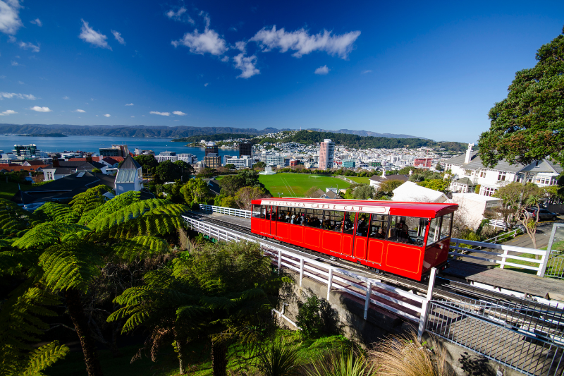 Du hoc New Zealand Kham pha giac mo du hoc tai xu so Kiwi 5