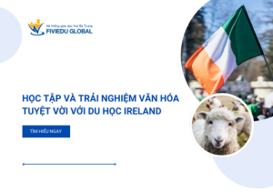 Hoc tap va trai nghiem van hoa tuyet voi voi Du hoc Ireland