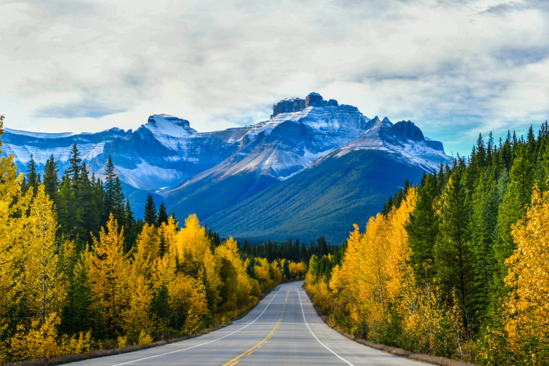 Kham Pha Cac Co Hoi Du Hoc Canada Dinh Huong Tuong Lai Ban 5